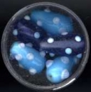 Glasperlen Tropfen türkis-blau-weiss